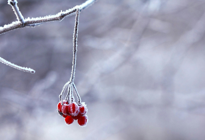 【萊沃醫(yī)療：知識分享】立冬來了，這個冬天就應該這么過！