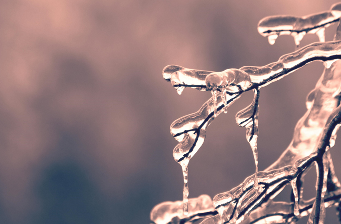 【萊沃醫(yī)療：知識分享】小寒：冷?冷?冷?冷?，一年中最冷的時節(jié)要來了