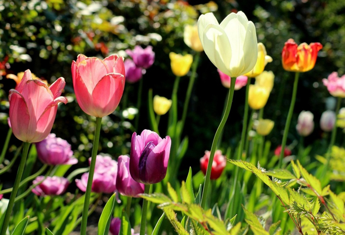 【萊沃醫(yī)療：知識分享】噴嚏不斷，于是我向Deep Seek提問了