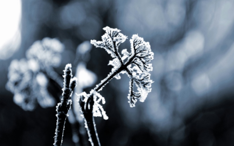 【萊沃醫(yī)療：知識(shí)分享】霜降不傷顏！鼻炎朋友們也能精致過秋冬了！