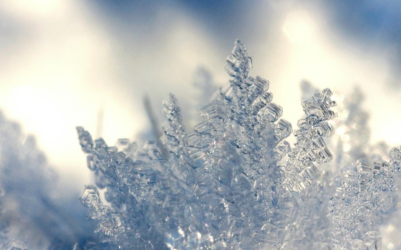 【Laiwo Medical: Knowledge Sharing】Xiaohan cools down, Kikubu cries out for pain first! How many of these warm-up misconceptions did you hit?